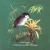 Jocotoco Antpitta Tee