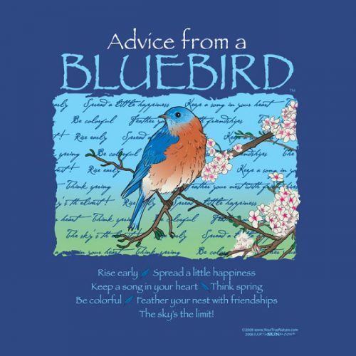 Advice from a Bluebird Tee